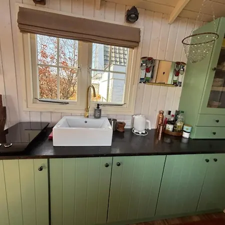 Feriehus Tiny House In 't Near And Forest 't Zand