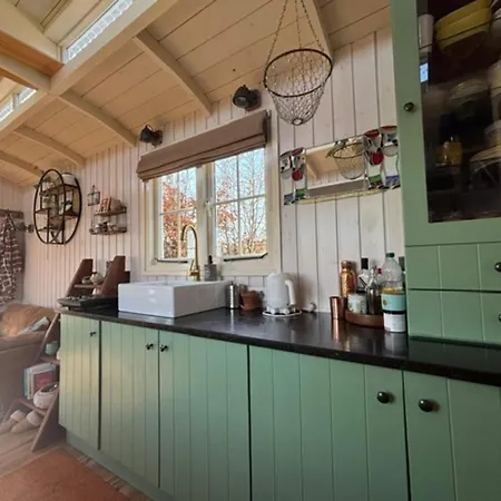 Tiny House In 't Near And Forest 't Zand