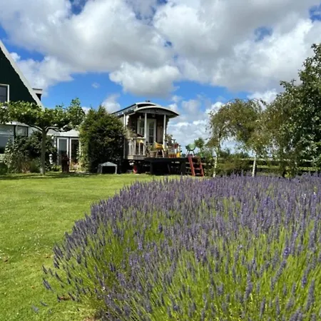 Tiny House In 't Near And Forest * 't Zand