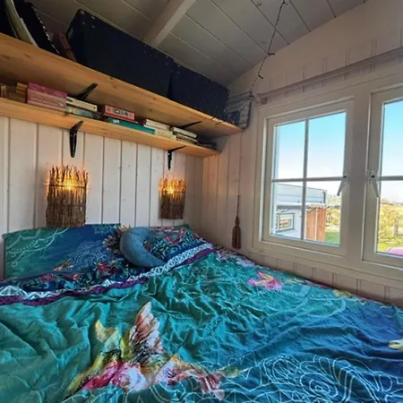 Casa de Férias Tiny House In 't Near And Forest *