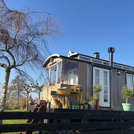 Casa de Férias Tiny House In 't Near And Forest