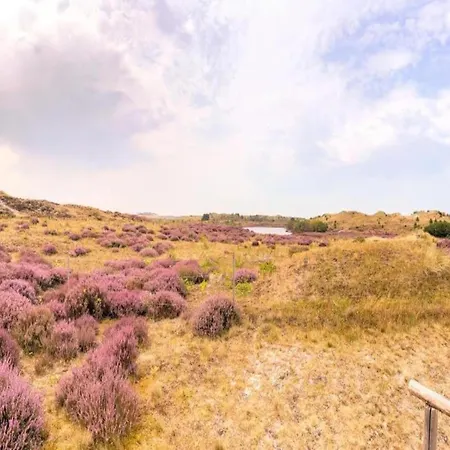Tiny House In 't Near And Forest 't Zand