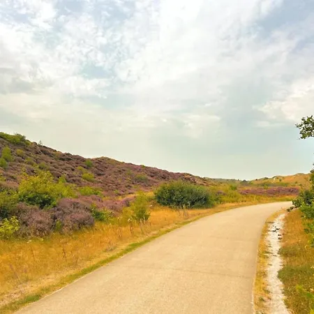 Tiny House In 't Near And Forest 't Zand