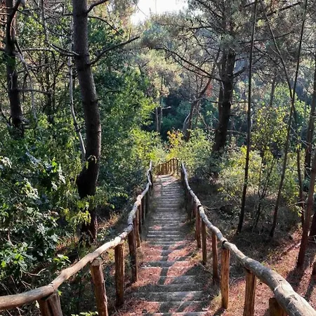 Tiny House In 't Near And Forest Casa de Férias 't Zand