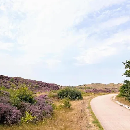 Casa de Férias Tiny House In 't Near And Forest *