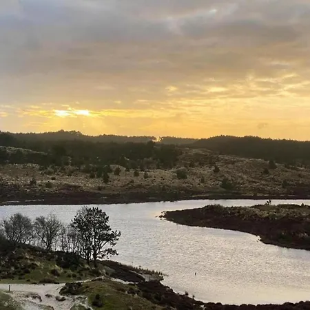 Tiny House In 't Near And Forest * 't Zand
