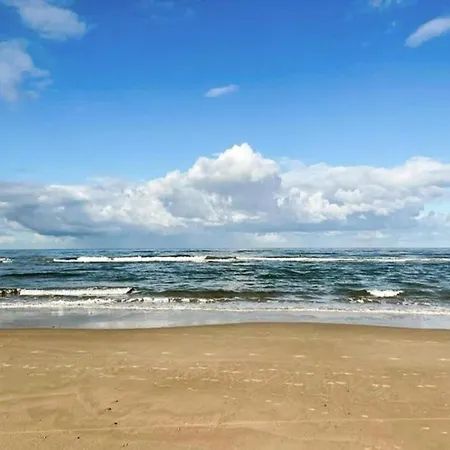 Tiny House In 't Near And Forest *