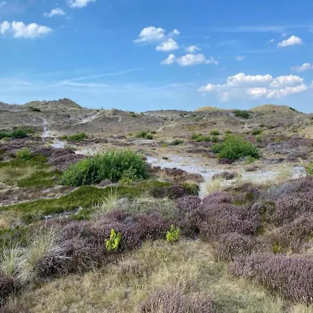 Casa de Férias Tiny House In 't Near And Forest 't Zand