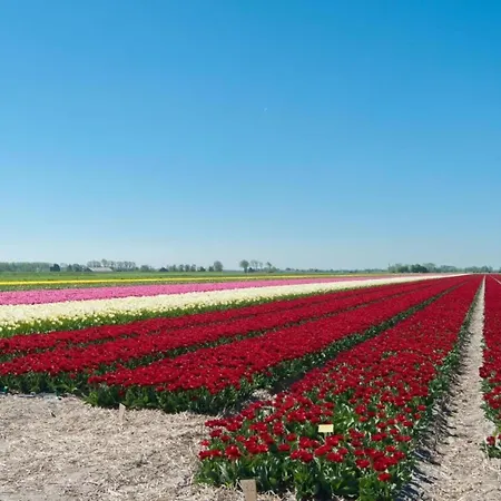 Casa de Férias Tiny House In 't Near And Forest *