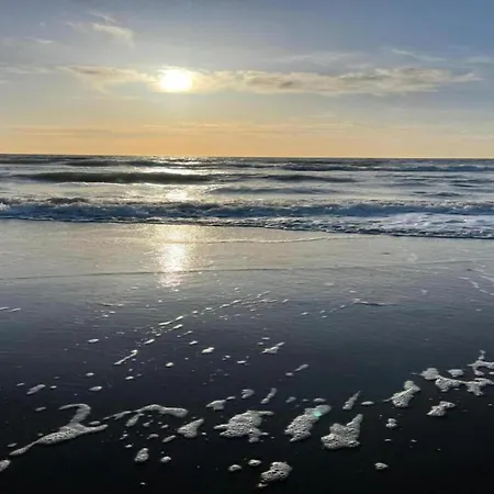 Casa de Férias Tiny House In 't Near And Forest *