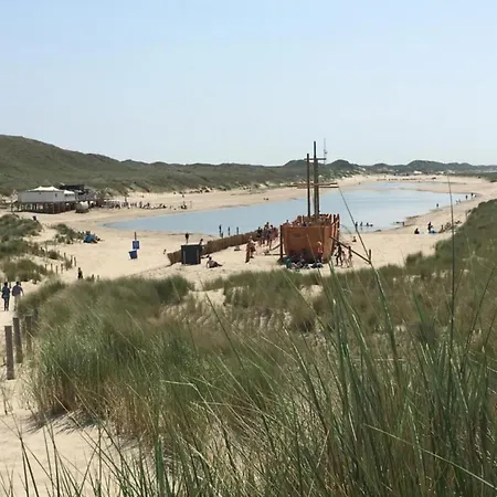 Tiny House In 't Near And Forest