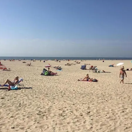 Casa de Férias Tiny House In 't Near And Forest