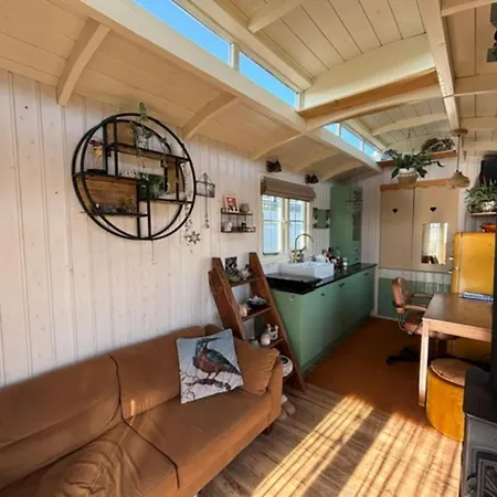 Tiny House In 't Near And Forest *