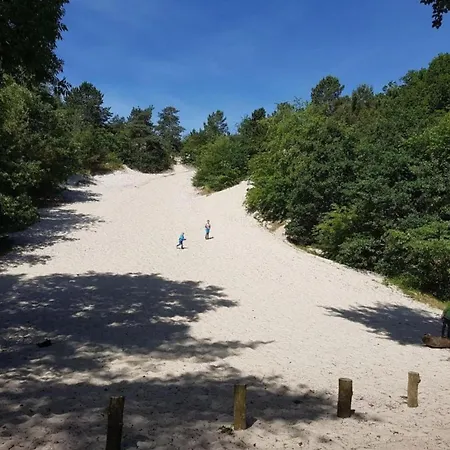 펜션 Tiny House In 't Near And Forest 't Zand